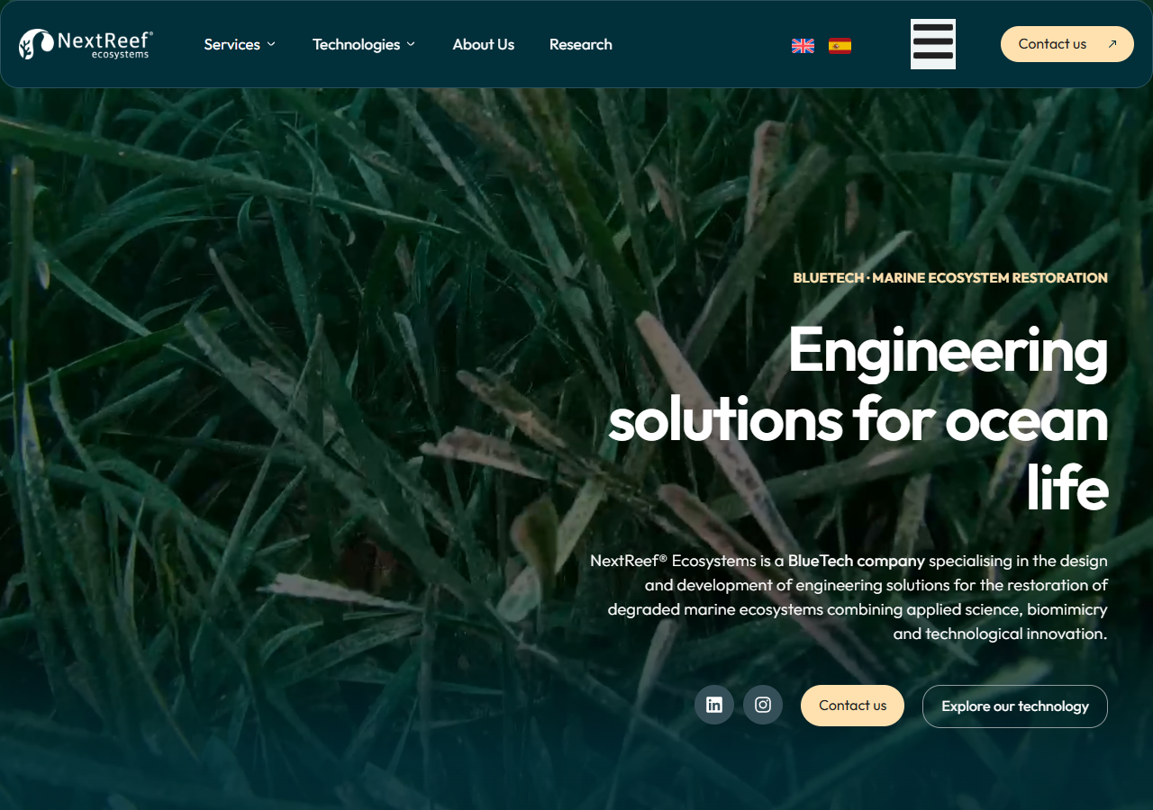 Proyecto Solpronet: nextreef, vista desktop